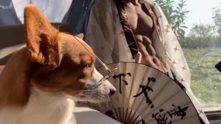 抖音 古风 帅哥 男神 肌肉&颜值 CHINESE TIKTOK HANDSOME GUY MALE