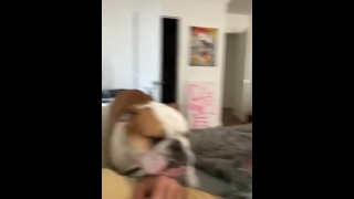 Furry porn on tik tok