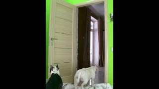 Nude TikTok WhatTheFluff Challenge