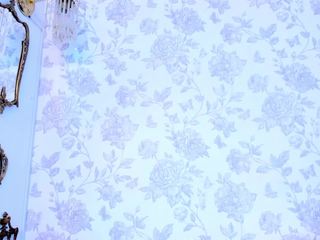 Sofi , ? nude on cam – live sex chat