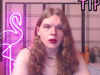 AgataLewiss nude on cam – live sex chat