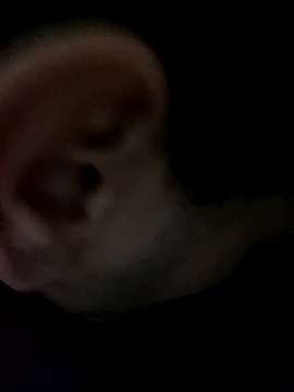 MACHODEALUGUELBH23cm naked stripping on cam for live sex video chat