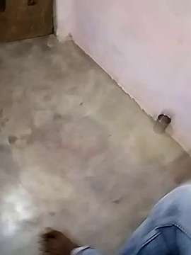 swiggy-123 naked stripping on cam for live sex video chat