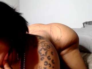 Zylah nude on cam – live sex chat