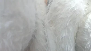 _mi_tsu_ki_ Nudes and Live Cam