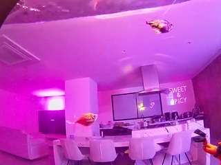 voyeurcam-casa-salsa-fishtank Nudes and Live Cam