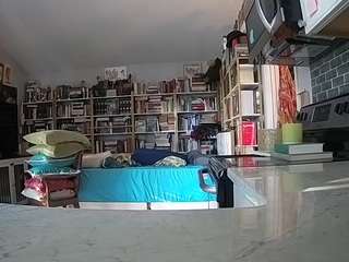 voyeurcam-bridgetleewalters-02 Nudes and Live Cam