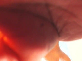 ?, ? SOFIA STAR ?? on cam for live i sexy video chat