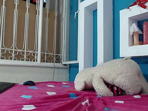 Cuty_sexy_hot naked stripping on cam for live sex video chat